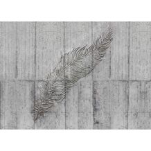 Phot.mur.Concrete Feather 7/1 350*250cm