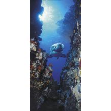Phot.mur.Shark-vrata 97*220cm